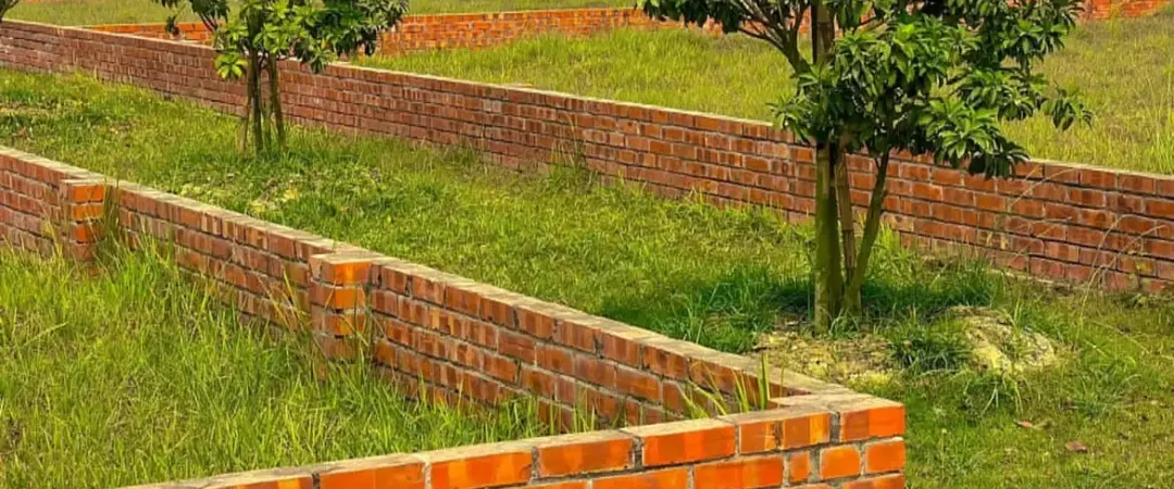 Boundary wall
